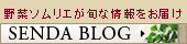 野菜ソムリエが旬な情報をお届け